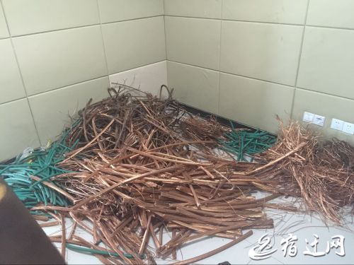 電纜
